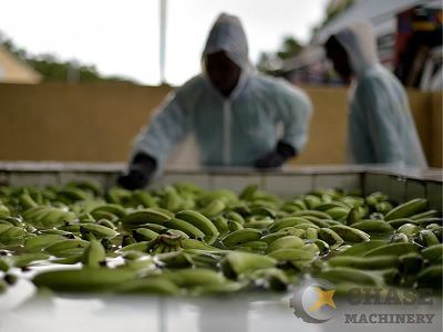 1-Banana Fruit Processing Plant